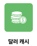 달러 캐시 아이콘