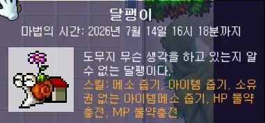 메이플 플래닛 달팽이 펫 4