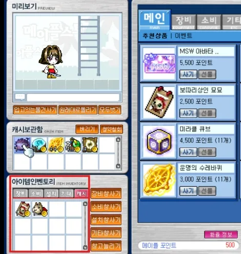 부캐릭터 캐시아이템 이동